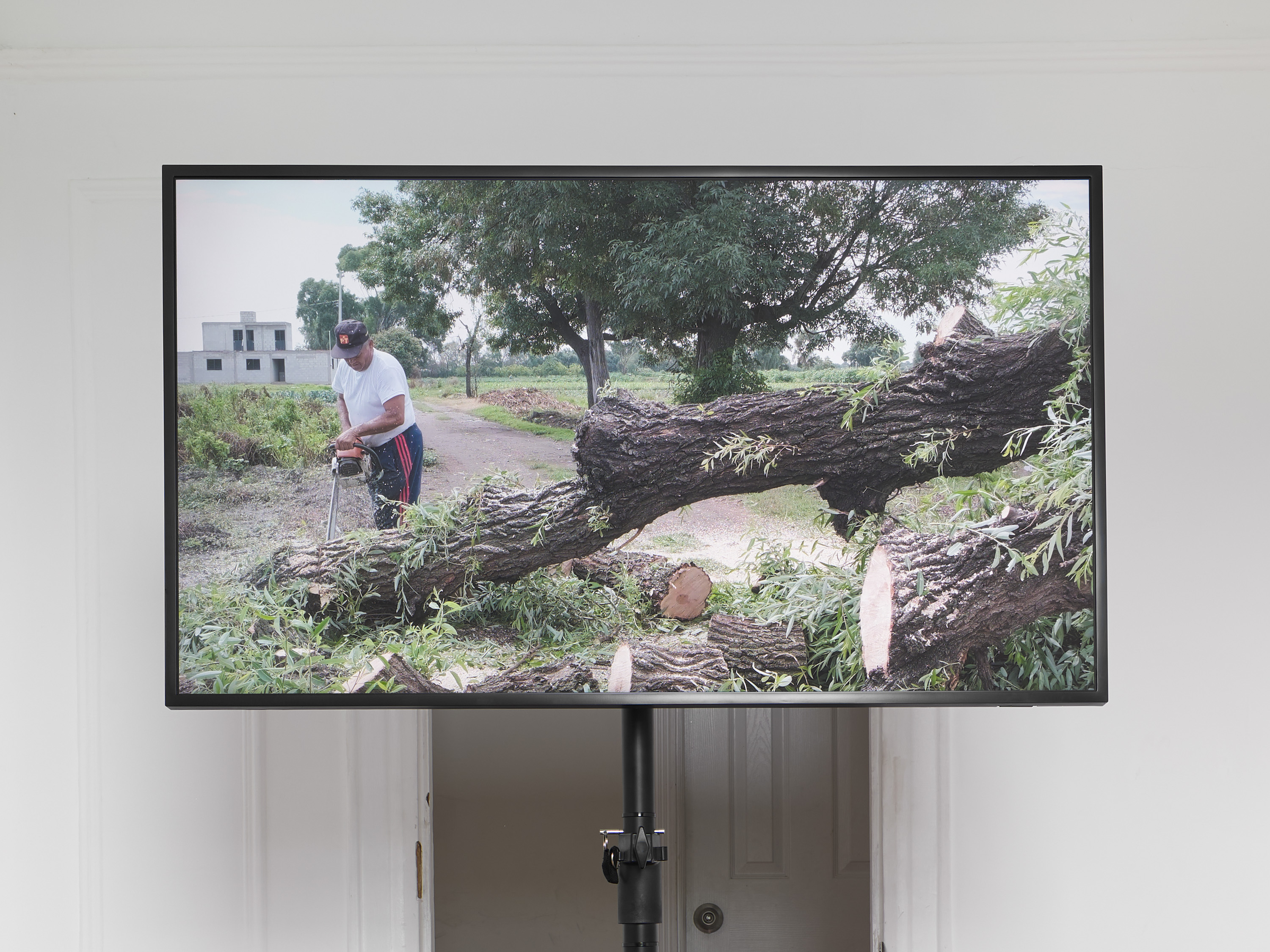 Current Exhibition Image 1